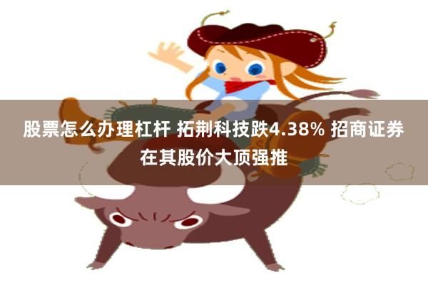 股票怎么办理杠杆 拓荆科技跌4.38% 招商证券在其股价大顶强推