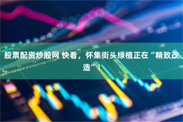 股票配资炒股网 快看，怀集街头绿植正在“精致改造”！